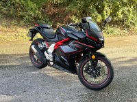 LEXMOTO LXR125