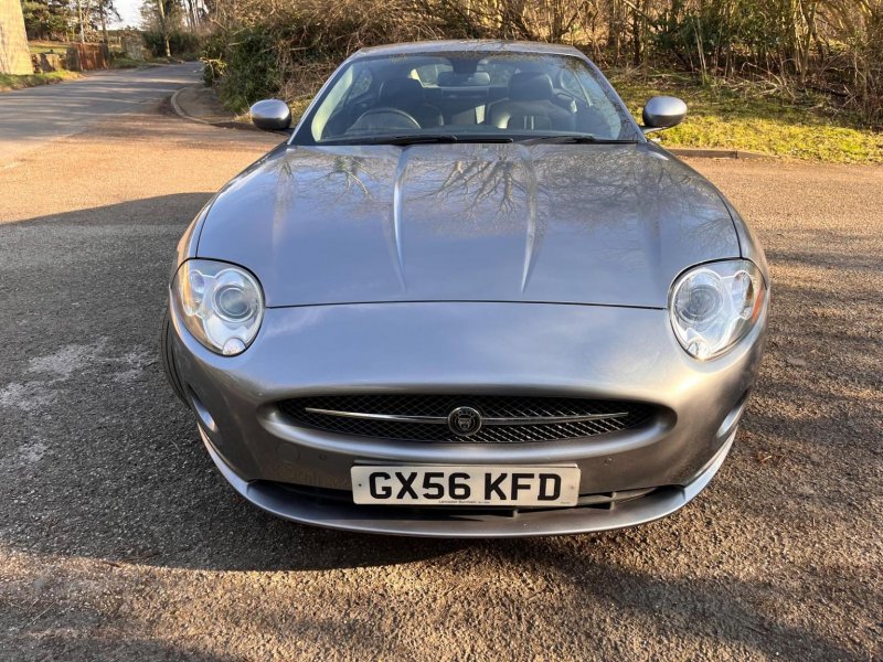JAGUAR XK
